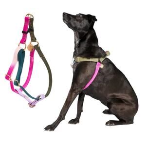 FOUND MY ANIMAL Jolie Webbing Cotton Large Harness Dyed Adjustable Solid Brass